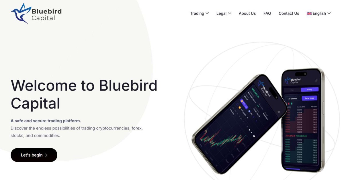 Bluebird Capital отзывы. Это развод?