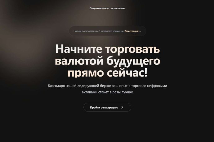 MORFINX отзывы. Биржа мошенников?